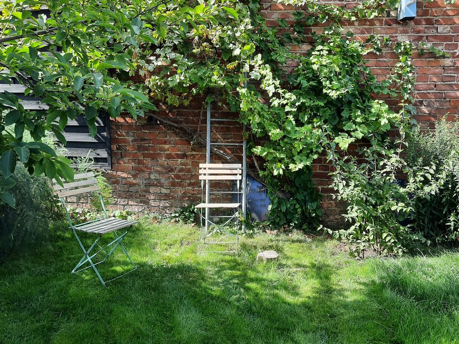 Der Garten mit alter Backsteinmauer und Efeu