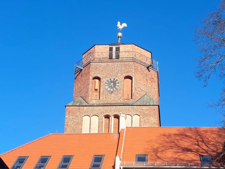 Der Turm der St.-Petri-Kirche mit Wetterhahn über den Dächern von Wolgast